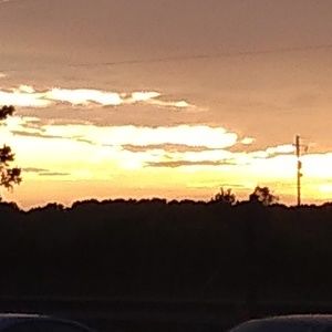 Meet your Posher, Chedwick